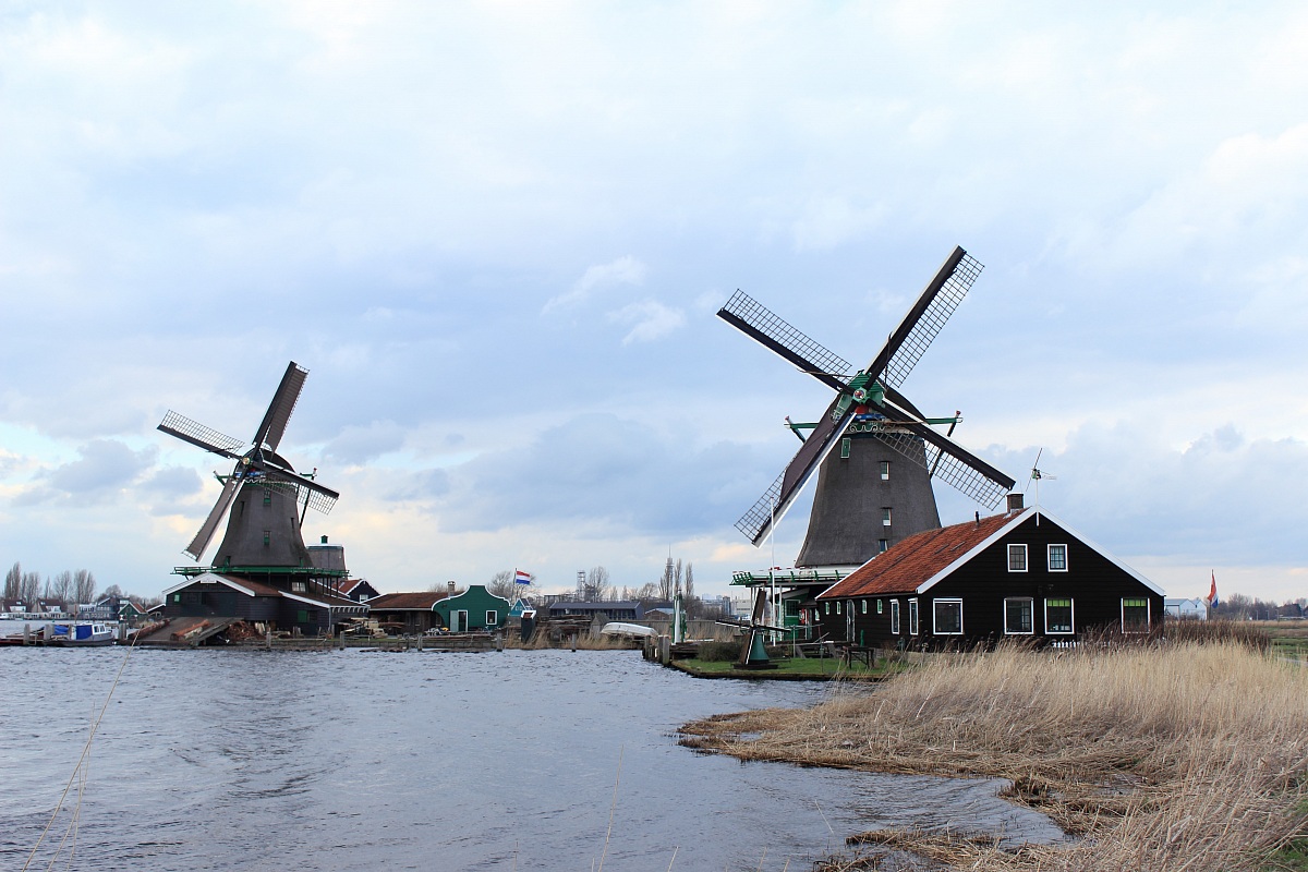 Coppia di mulini olandesi