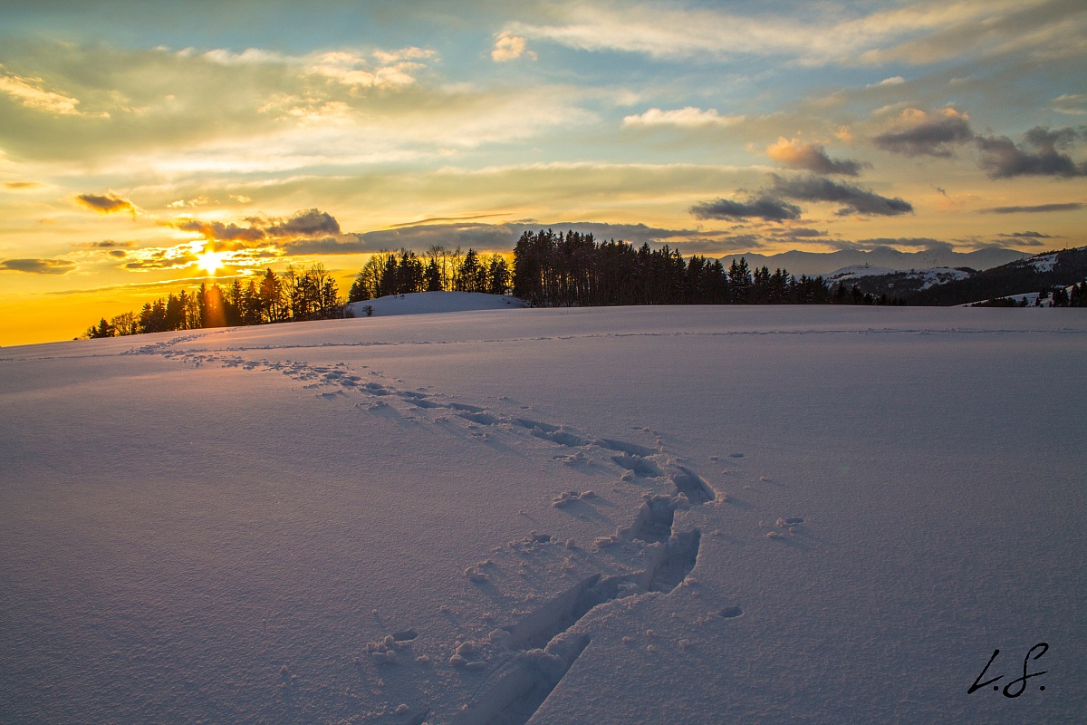 Going towards the sun .. ..