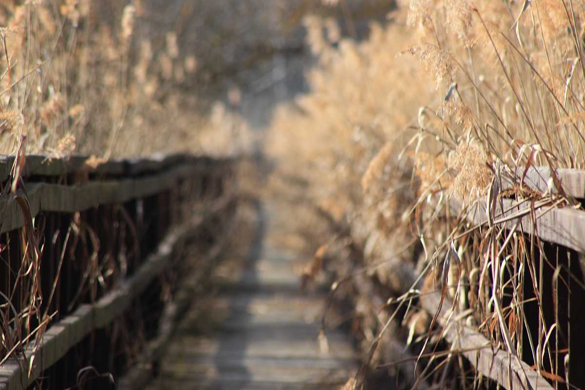 Un misterioso passaggio...