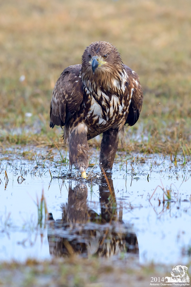 A pochi metri da tanta bellezza