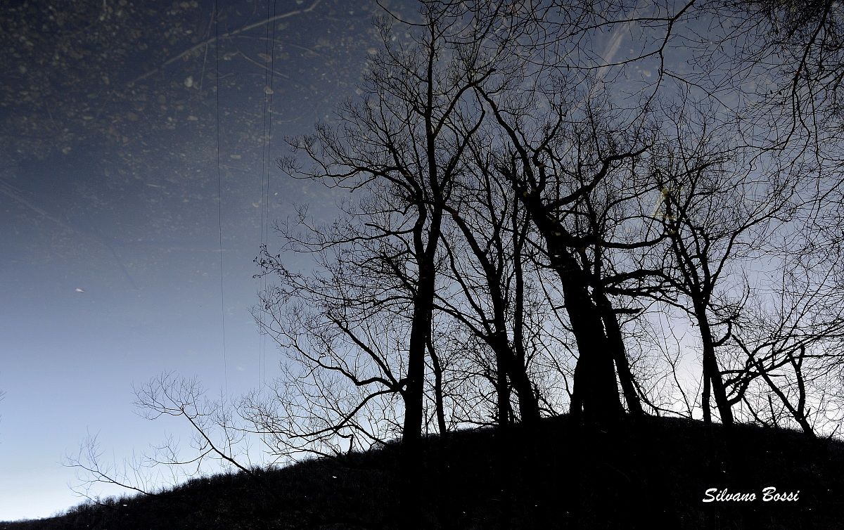 reflected in the lake
