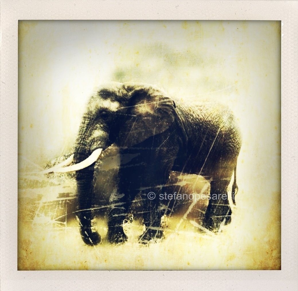 Africa through iPhone