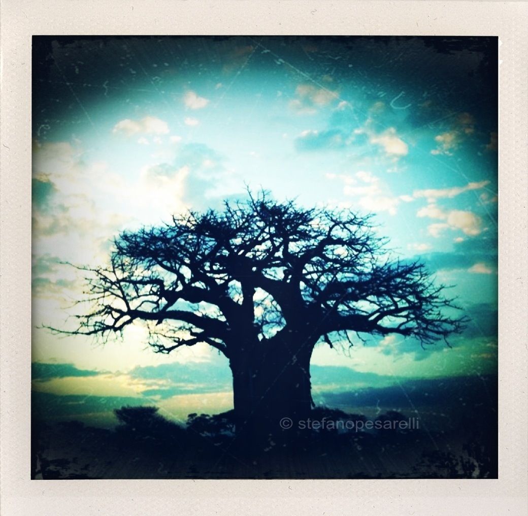 Africa through iPhone