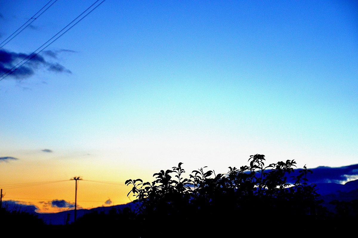 la stagione della fantasia