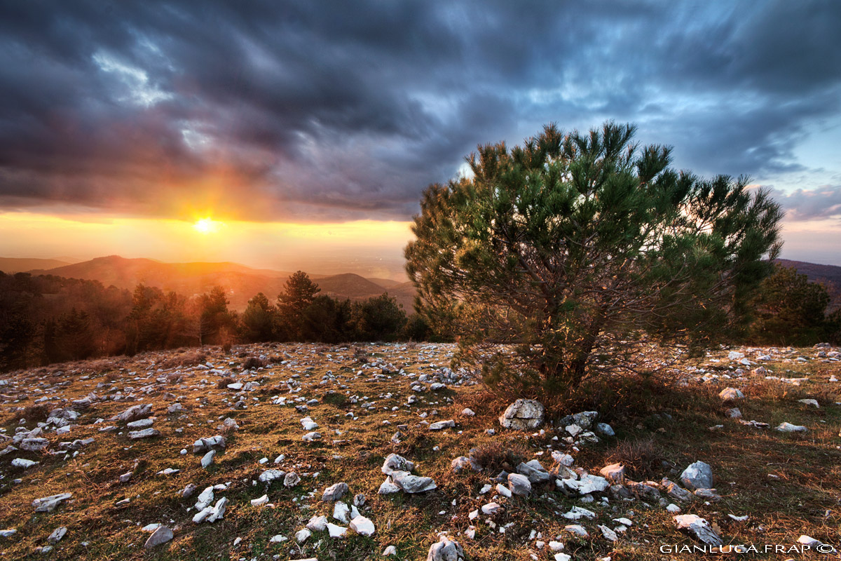 Pinetto at sunset ...