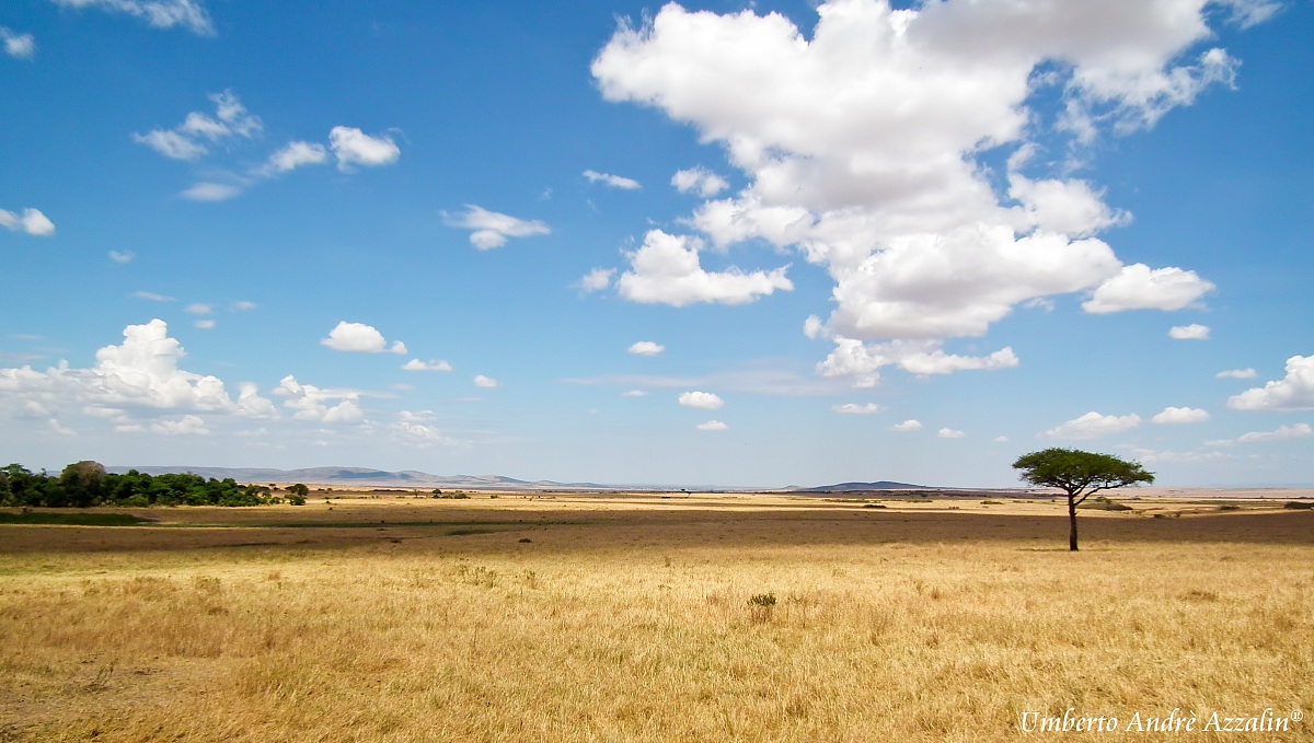 Masai mara boundless
