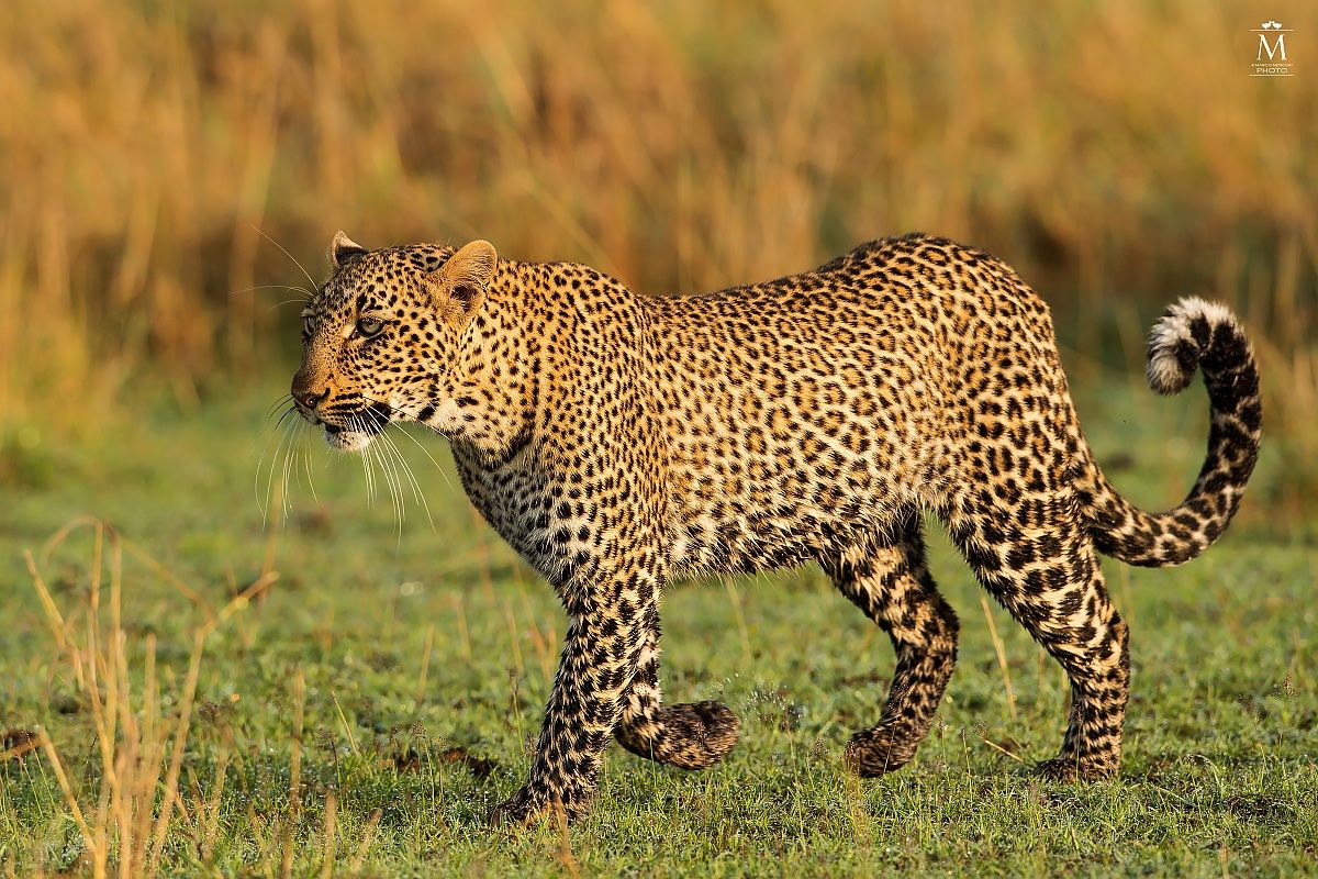 La Vera Grande Bellezza!