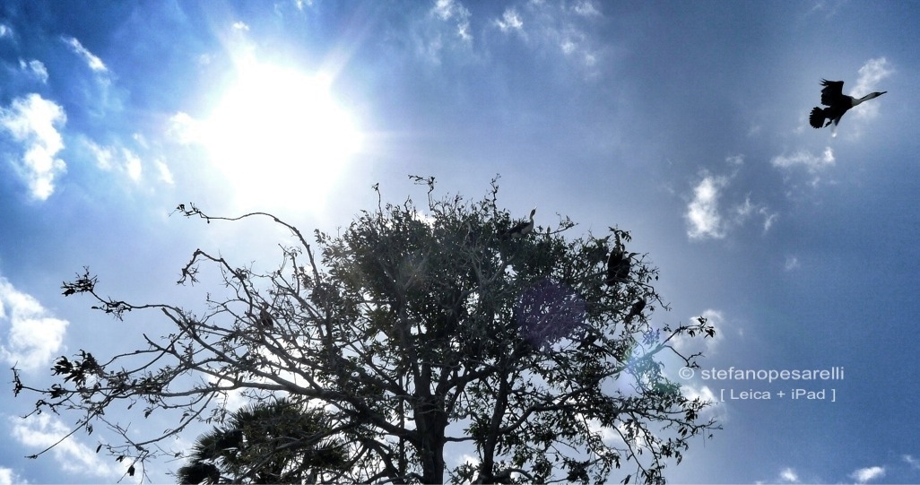 Africa, n viaggio con una Leica e un iPad.