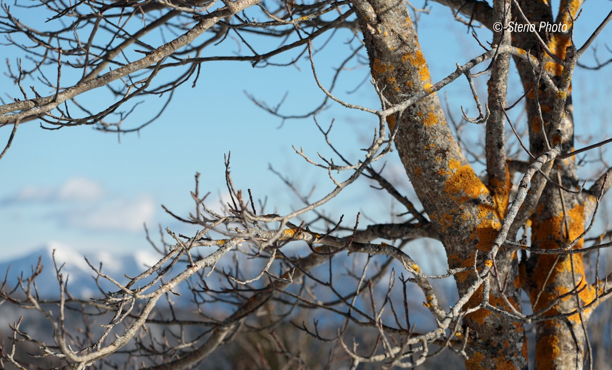 In the distance .. Mount Pavione