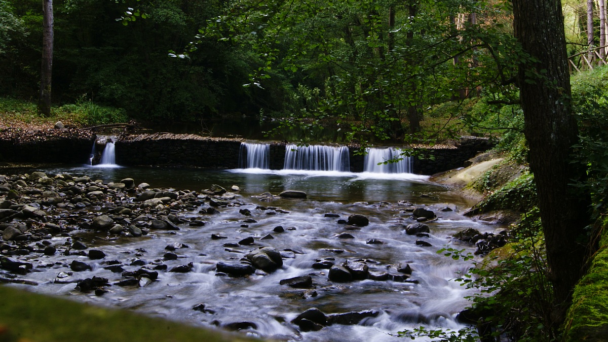 The Arno in his native country