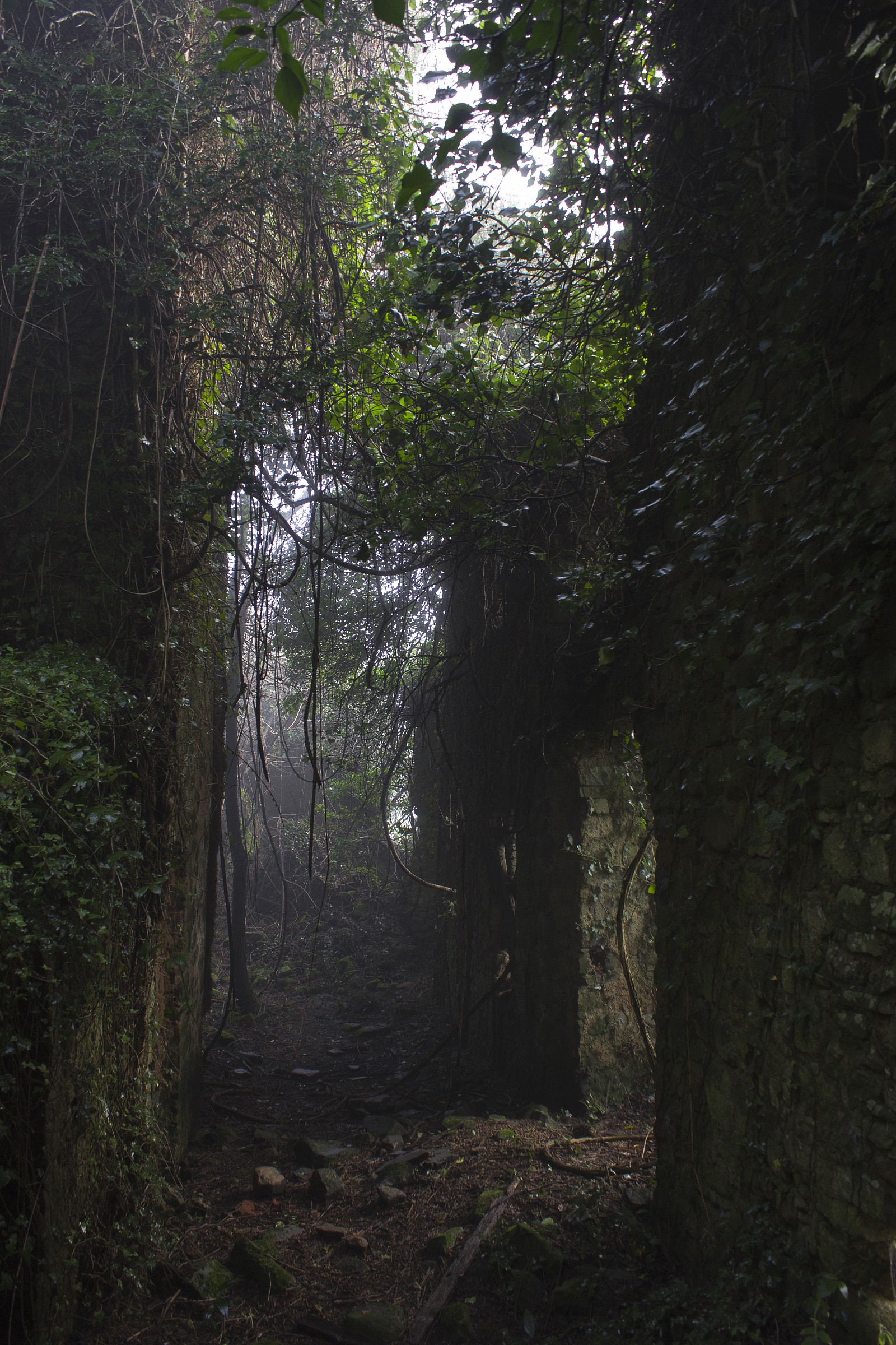 Bugnano. Ghost Country