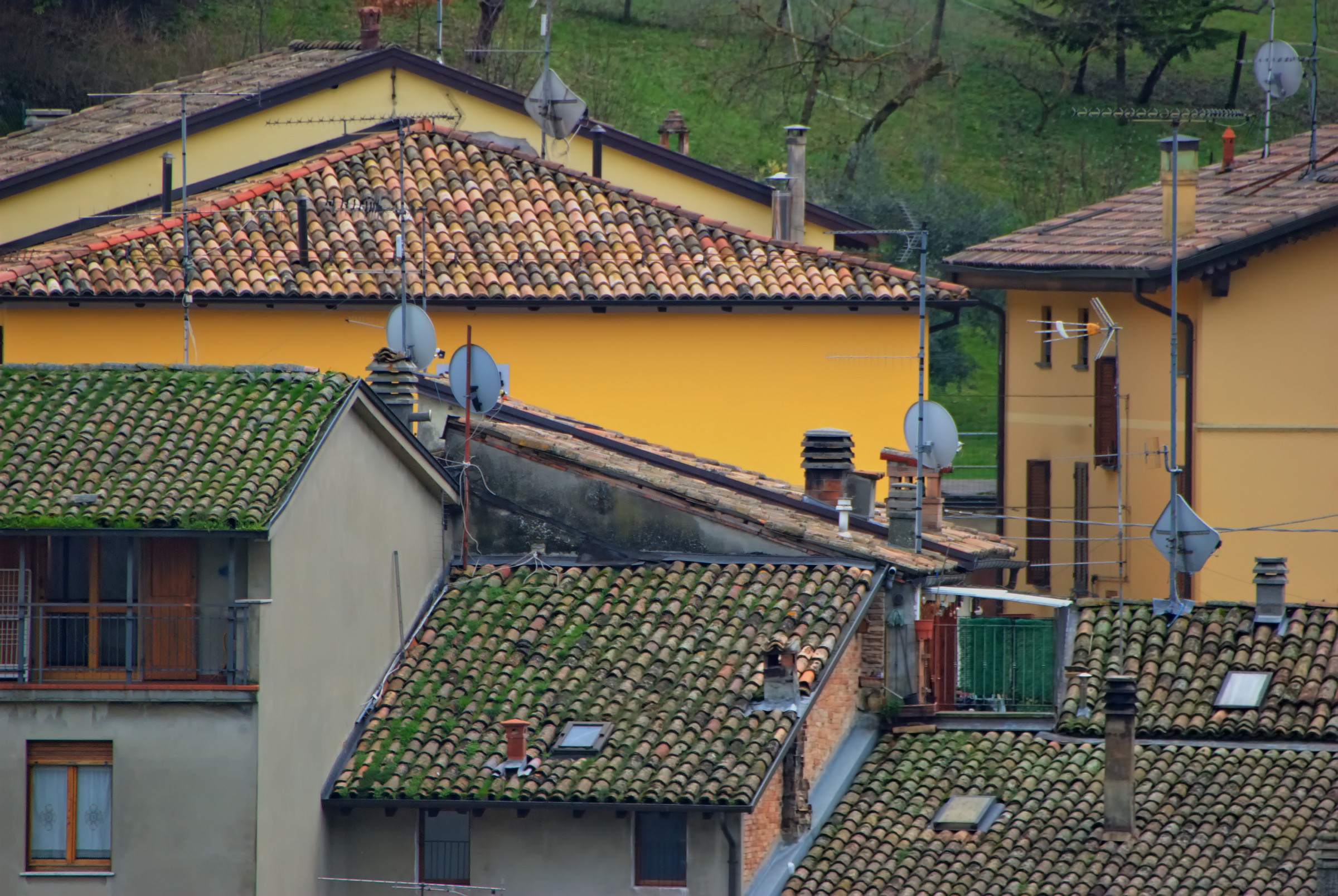 Parabola o antenna questo è il dilemma....