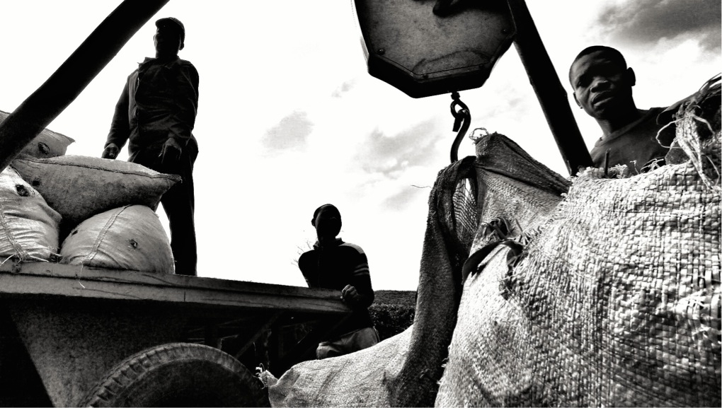 Africa, n viaggio con una Leica e un iPad.