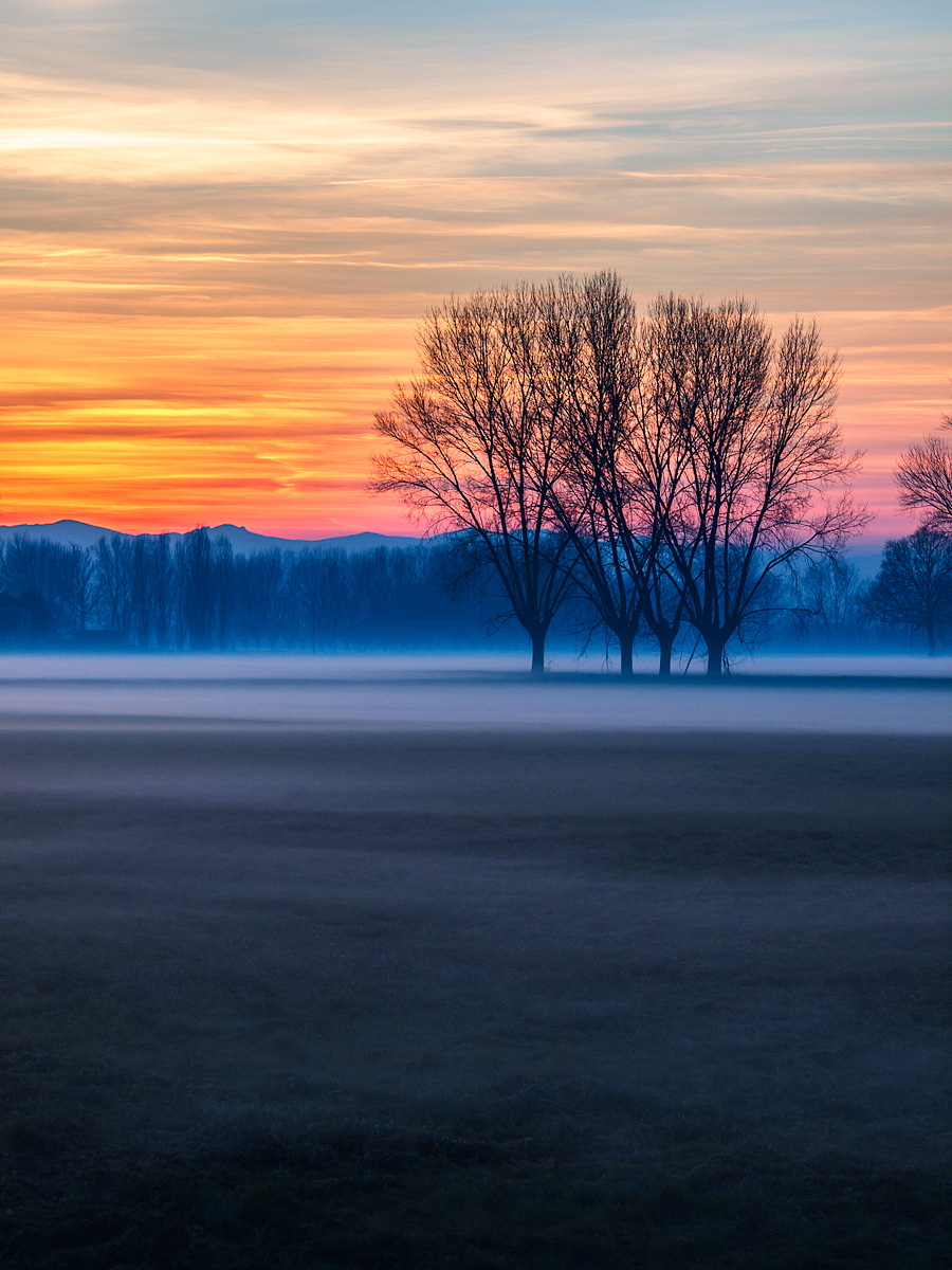 The first fog at sunset.
