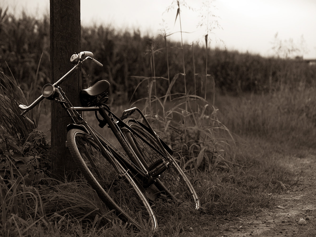 A break in the countryside.