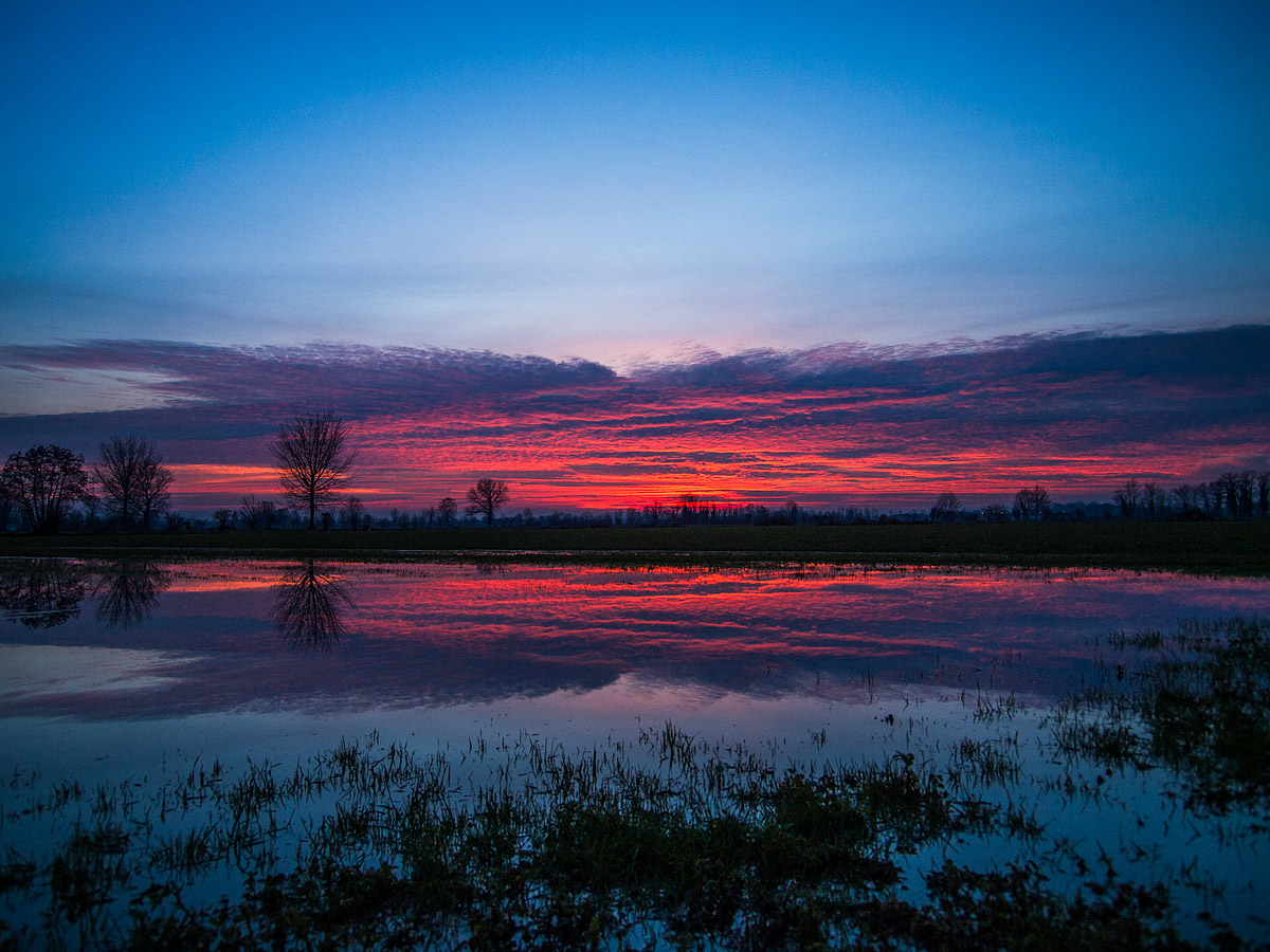 Reflections on flooded fields.