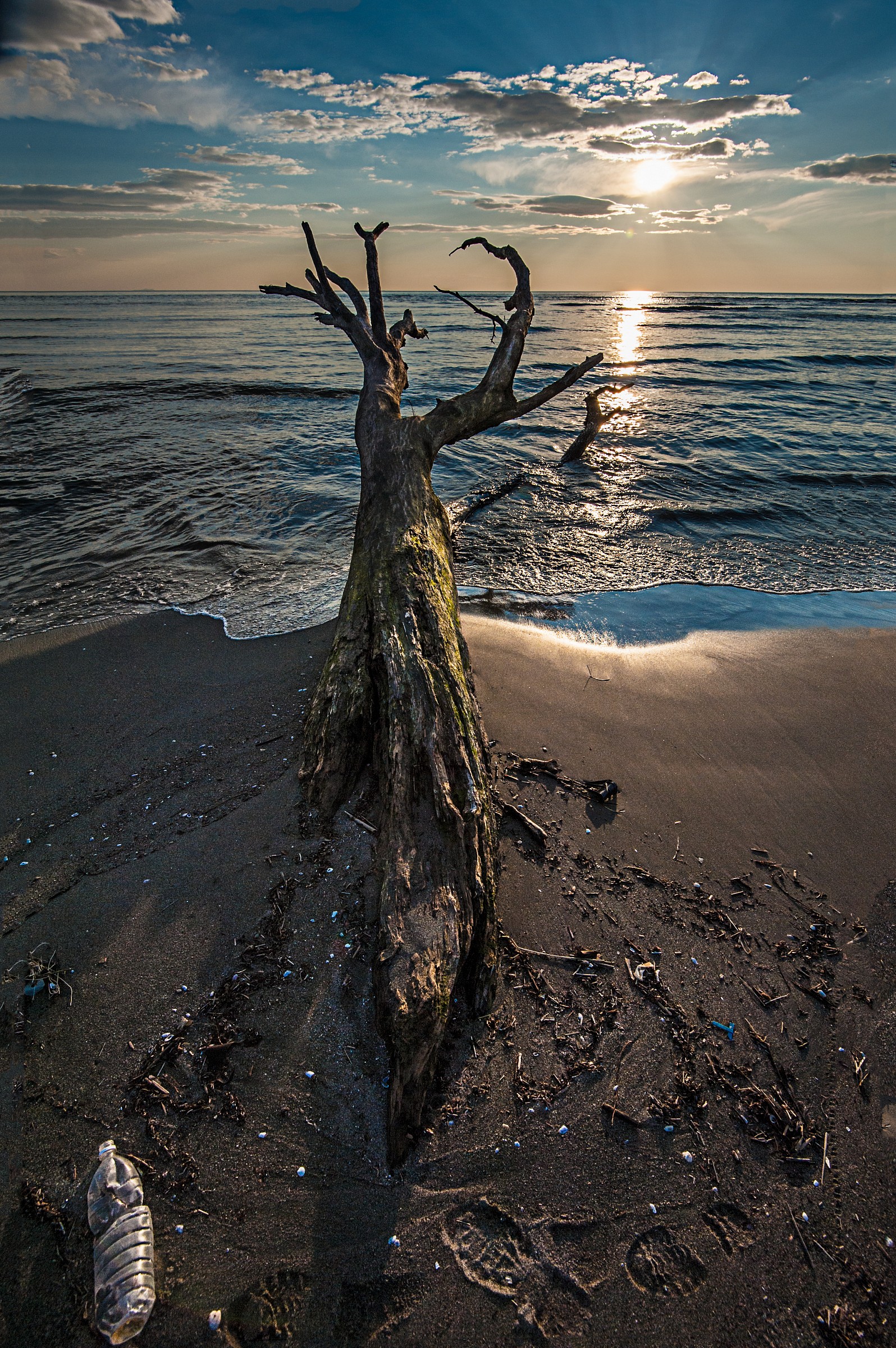 Still life?...or not?