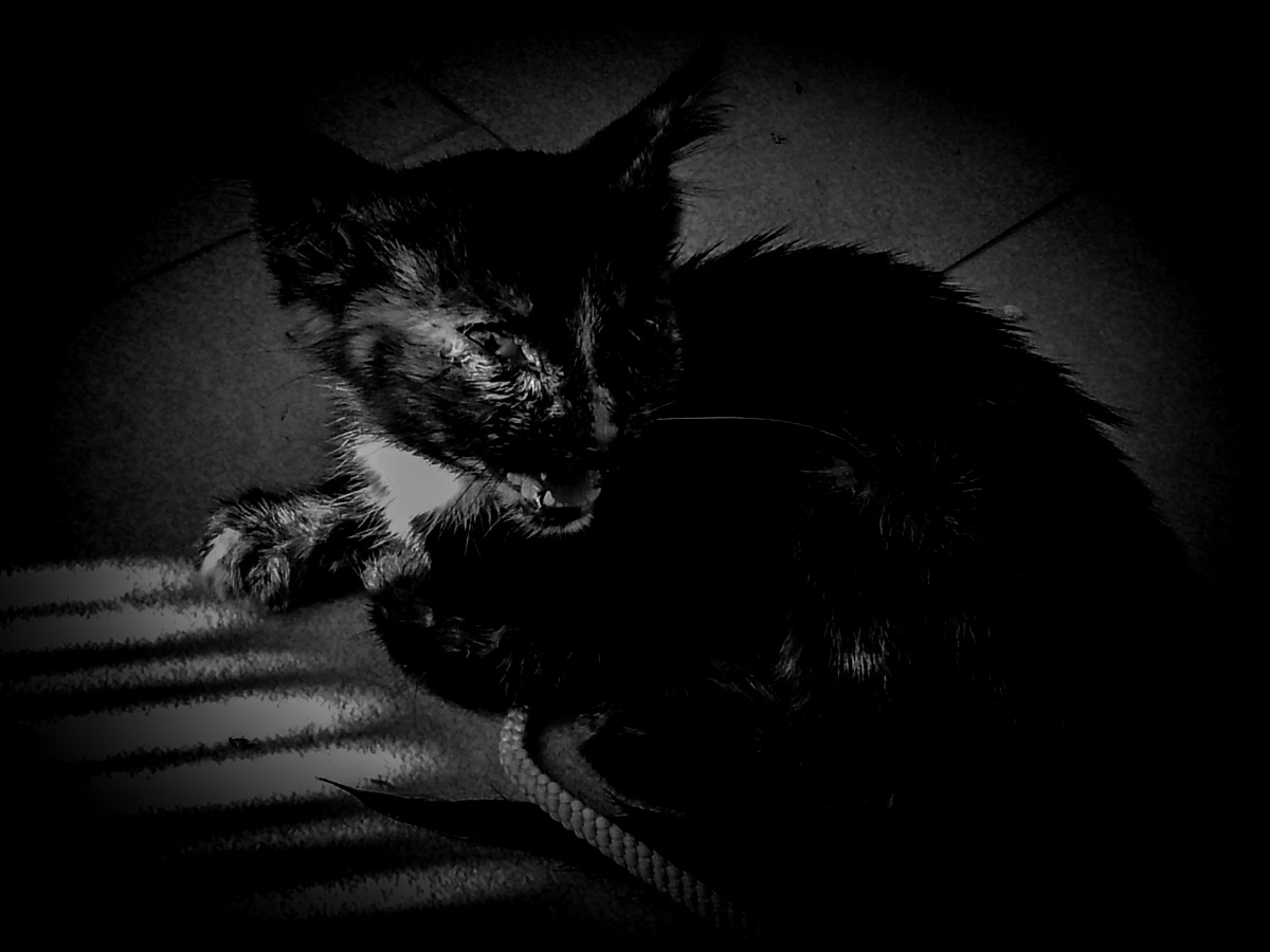 Lela pesantemente ritoccata, 2 mesi di vita, Galaxy S2