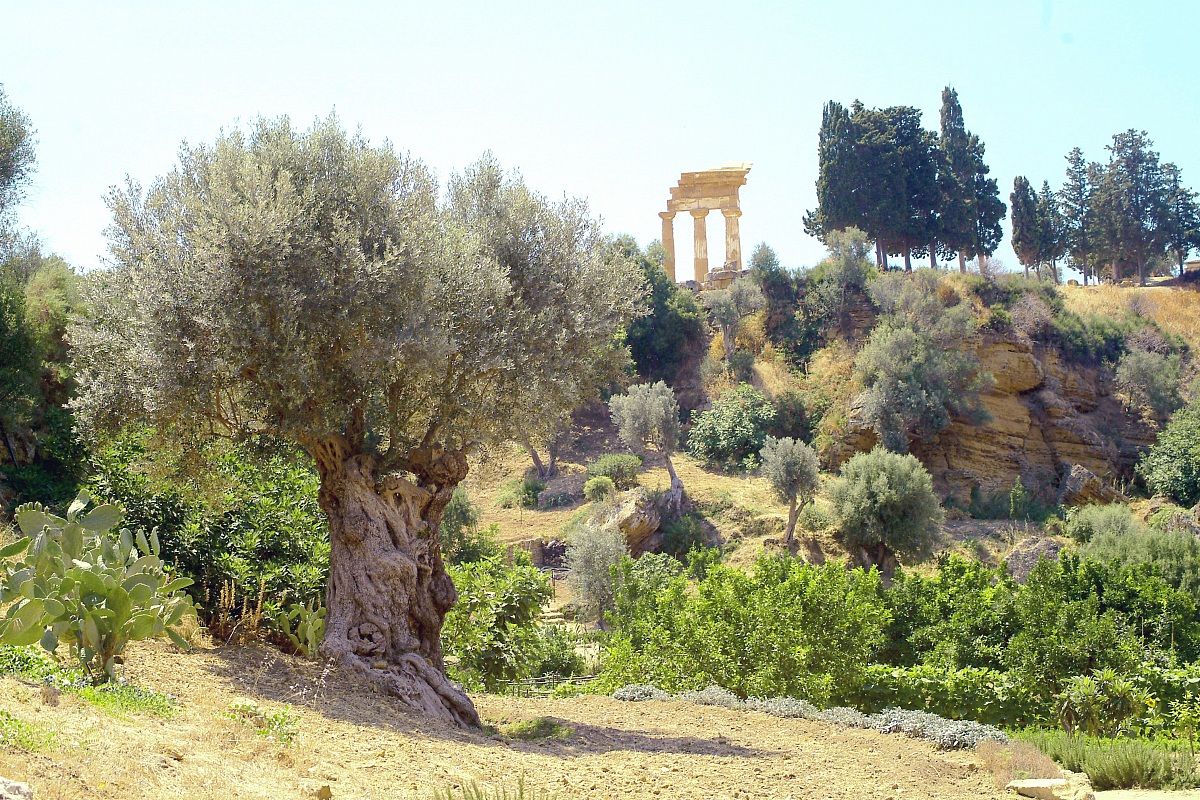 Gardens of Kolimbetra 8ag9