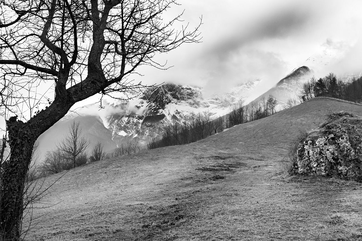 Silence, solitude peace