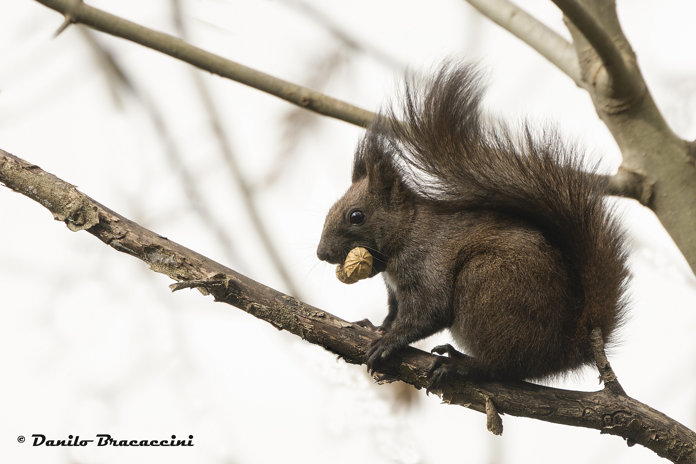 Guai a chi me la tocca!!!