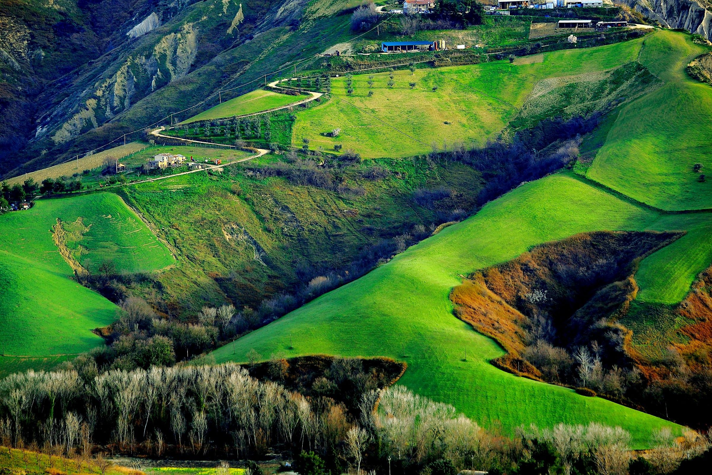 Tavolozza di colori.