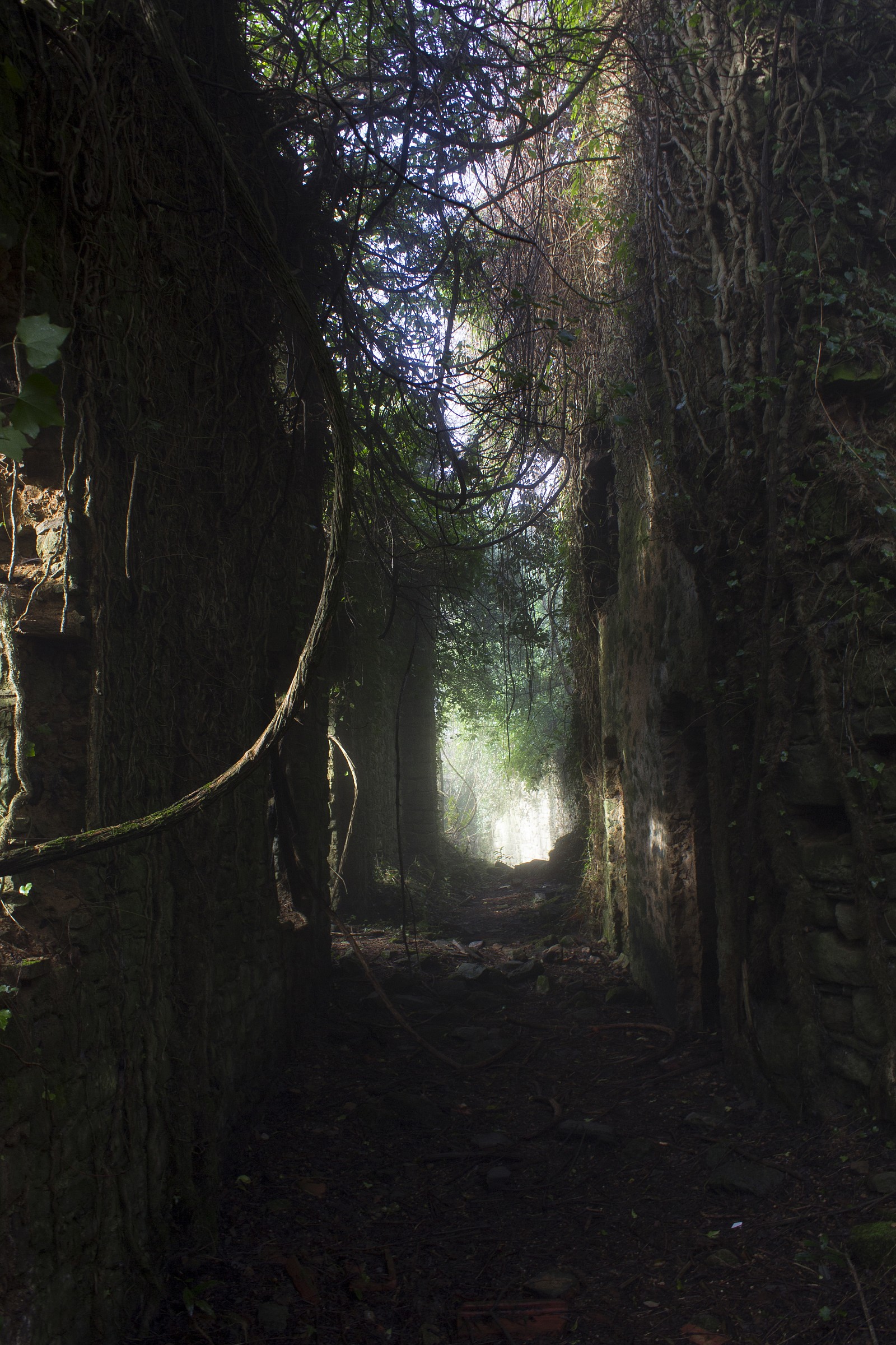 Bugnano. Ghost Country