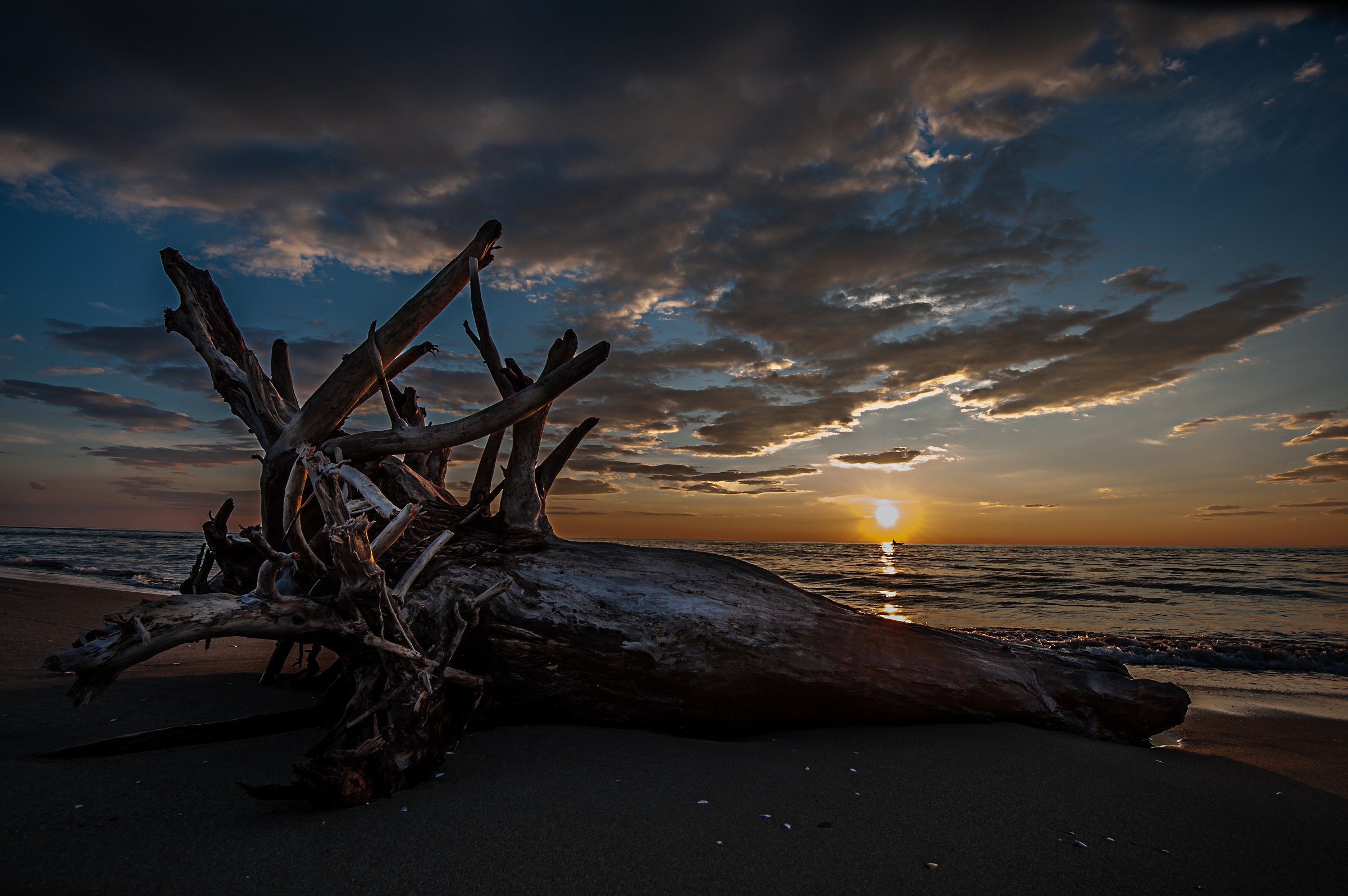 Still life?...or not?