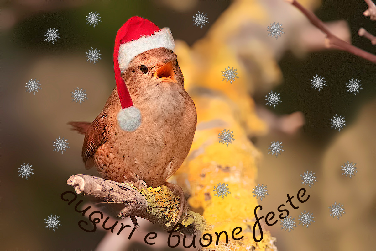 buon natale