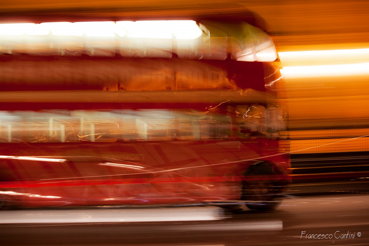bus