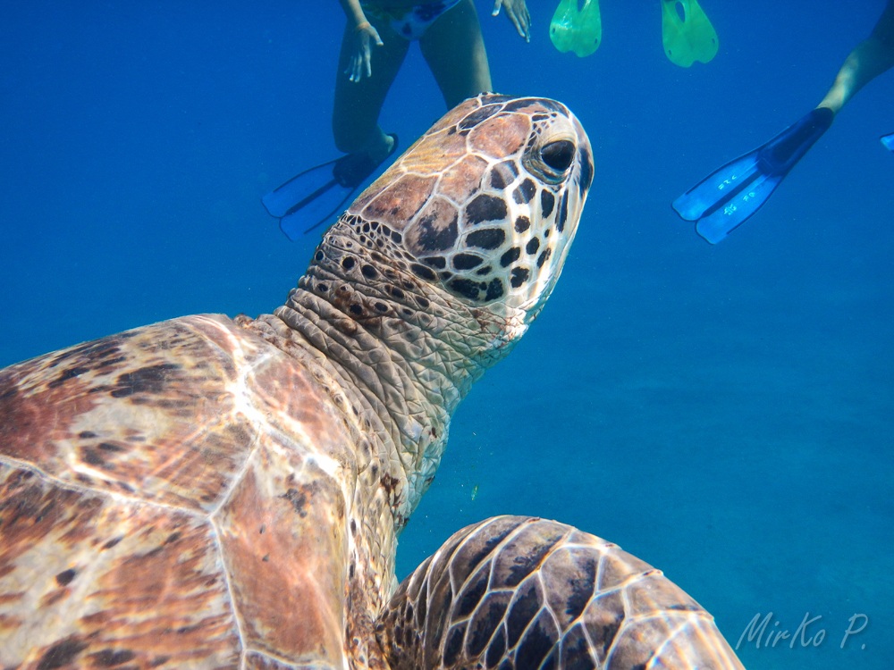 ....ci sono quasi!!!