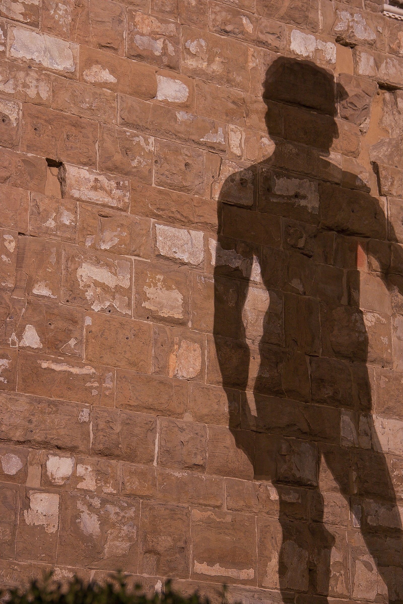 ...l'ombra del David