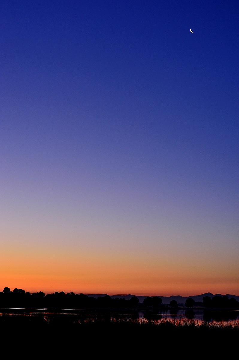 Alba sui laghi costieri  ( lago di Paola LT )