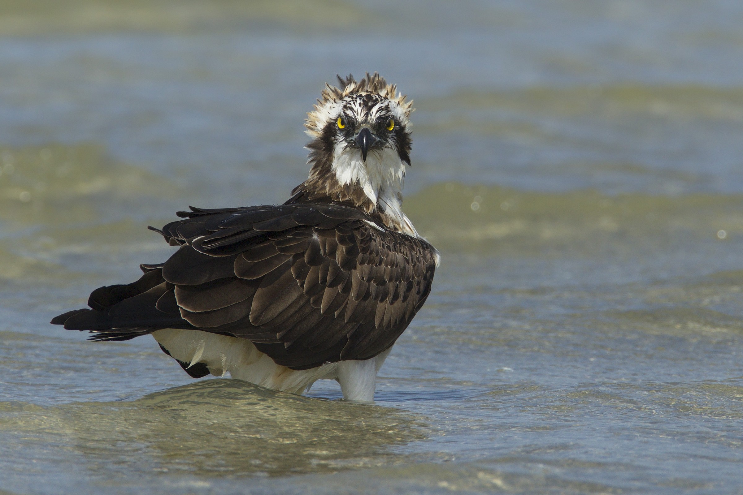 Oggi mi faccio il bagno