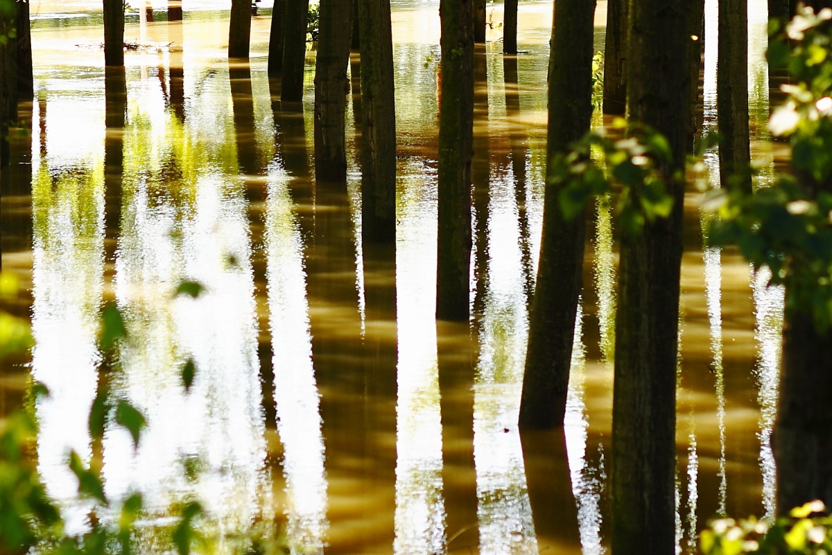 esondazione del fiume Oglio