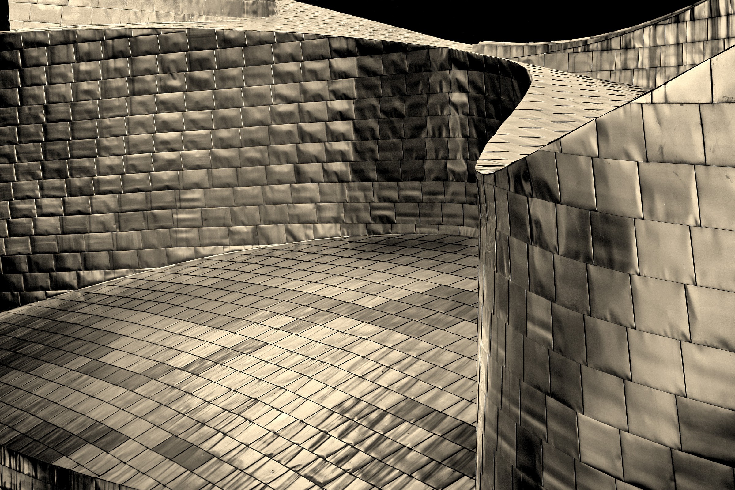 assembly of titanium scales