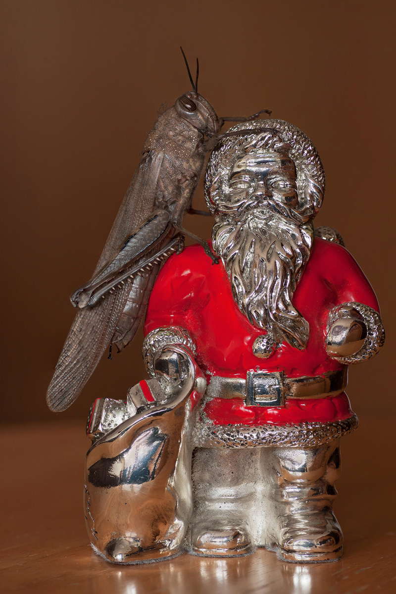 buon natale a tutti !!!!!!!!!