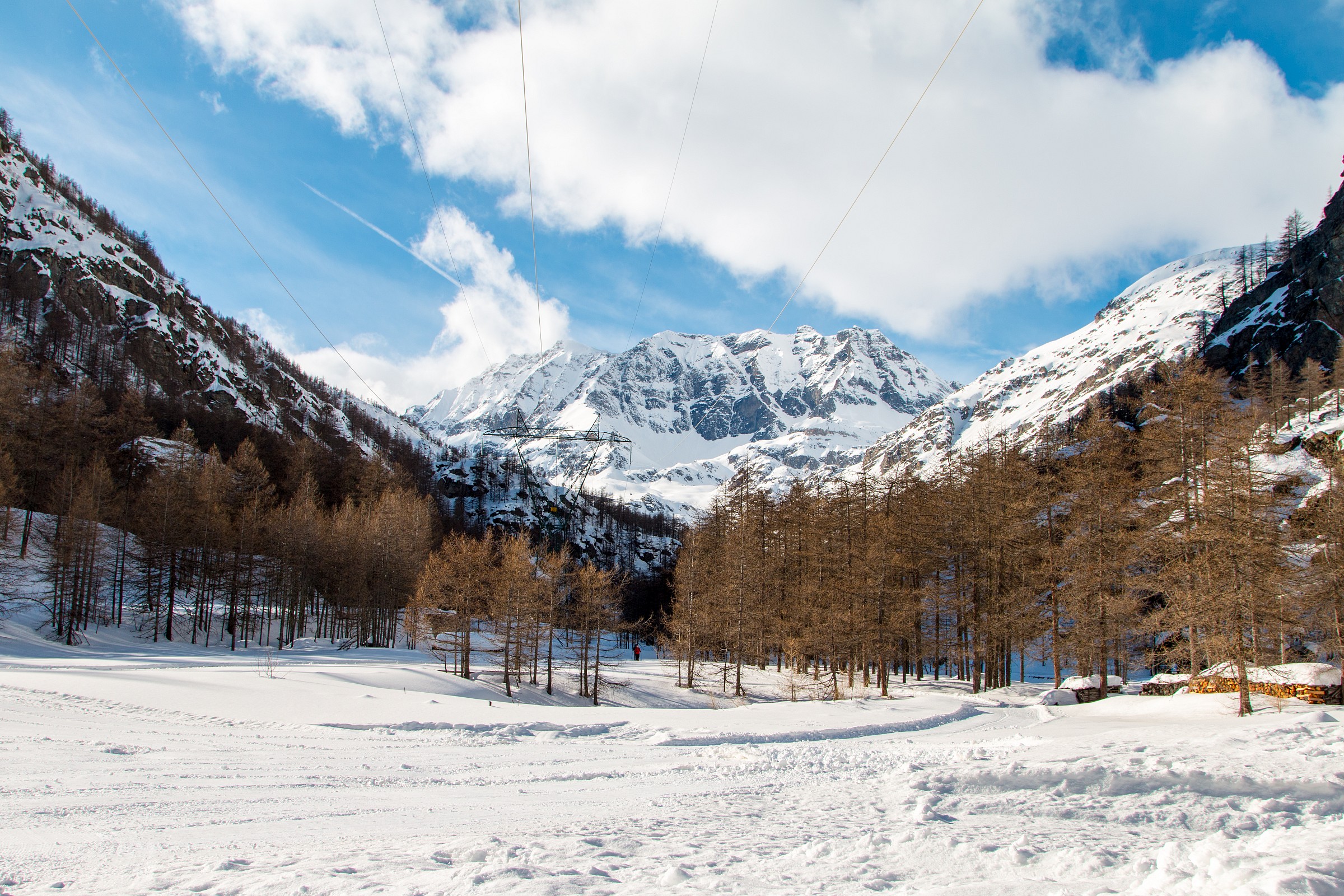 Ceresole