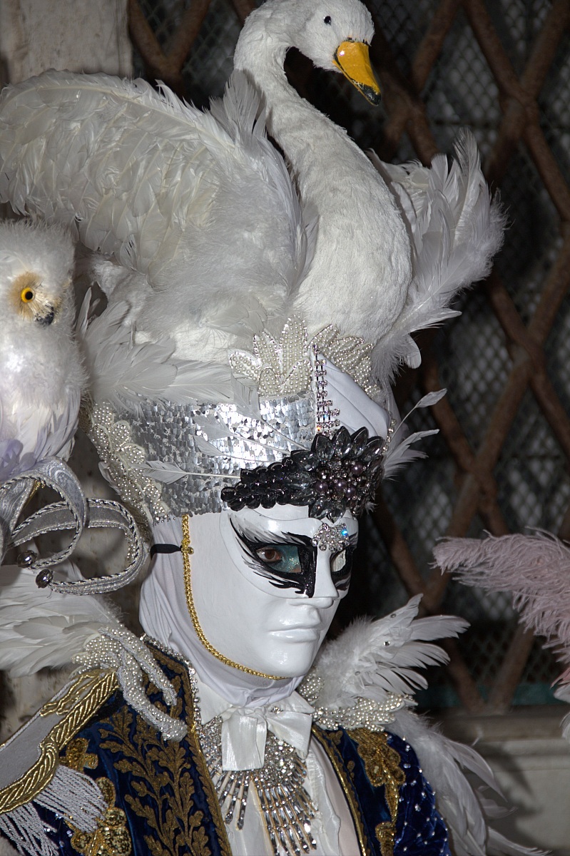 Carnevale di Venezia 2014