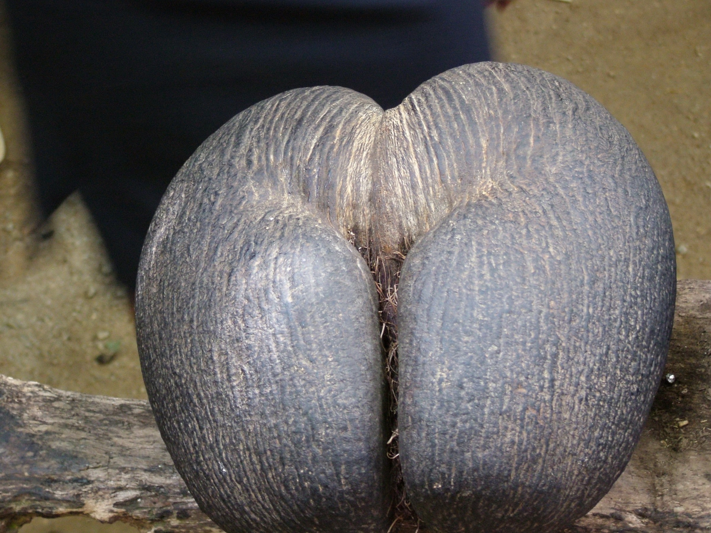 ...l'unico nudo che mi posso permettere...