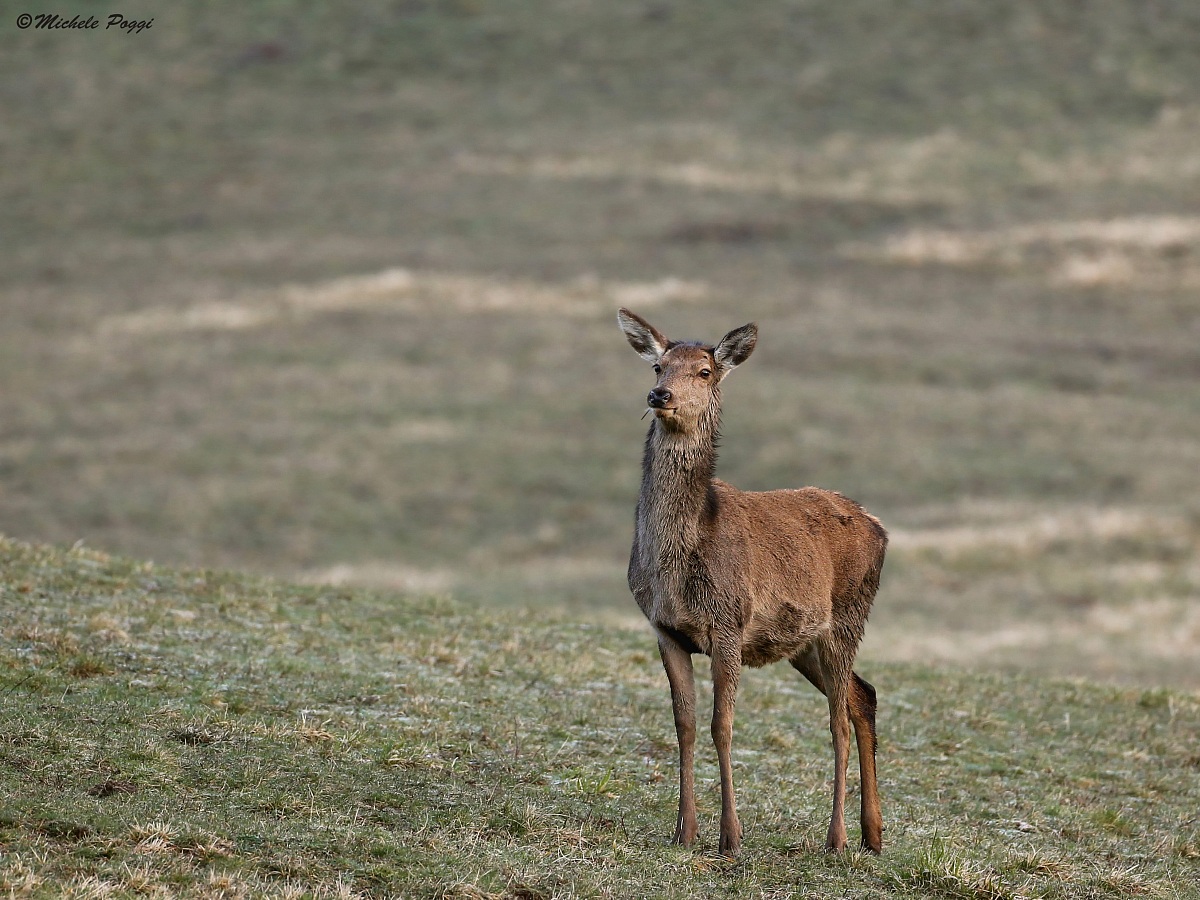 Beautiful and slim .....