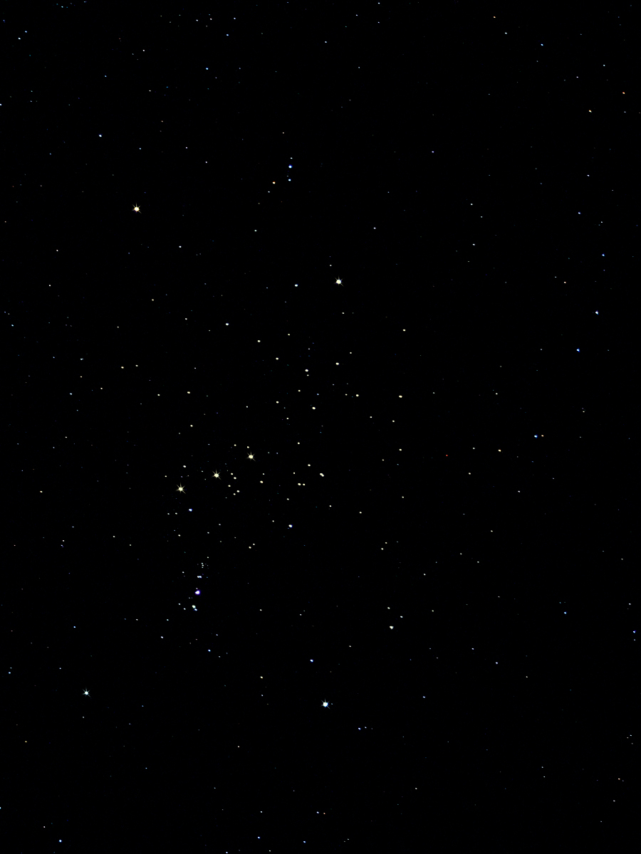Orion