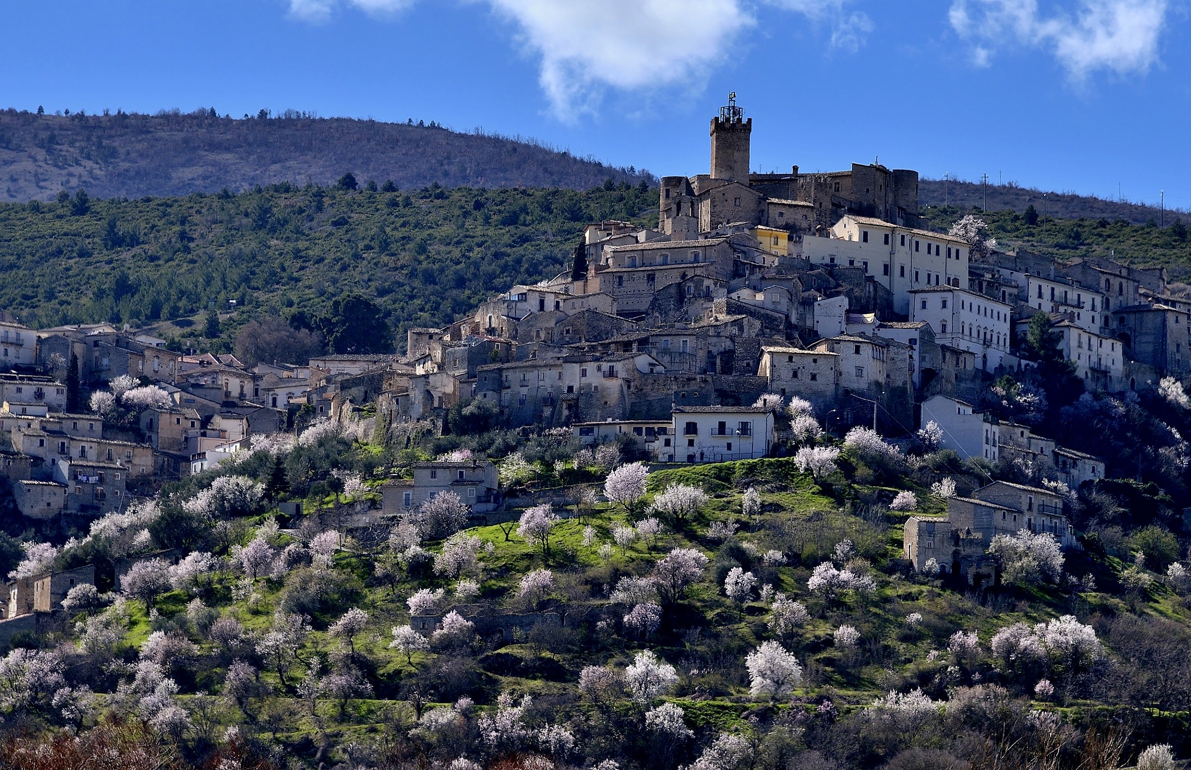 Paese e mandorli fioriti