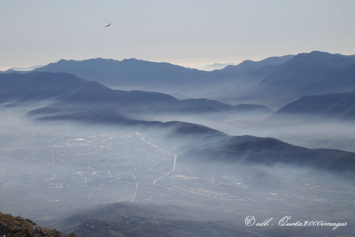 The flight of the Griffon