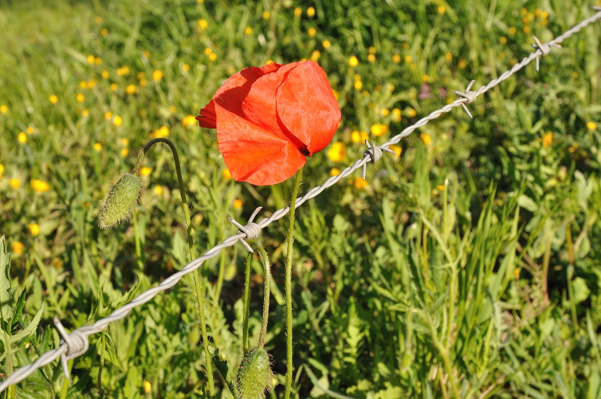 feelings and reality