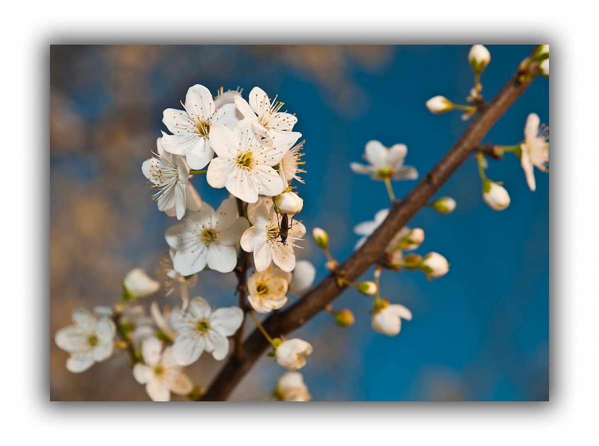 Waiting for spring ...