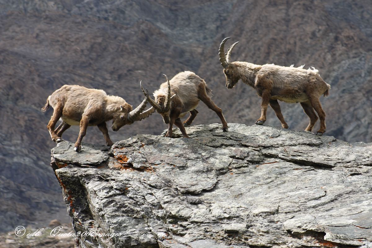 ....questione di millimetri!!!!!