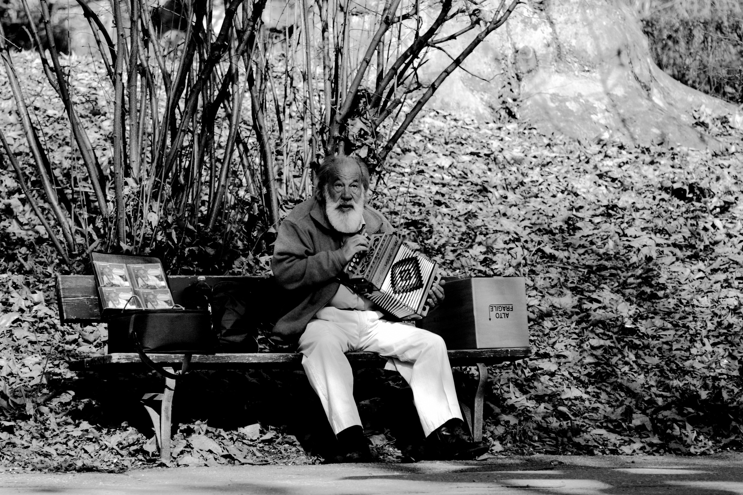 Con gli occhi al ciel