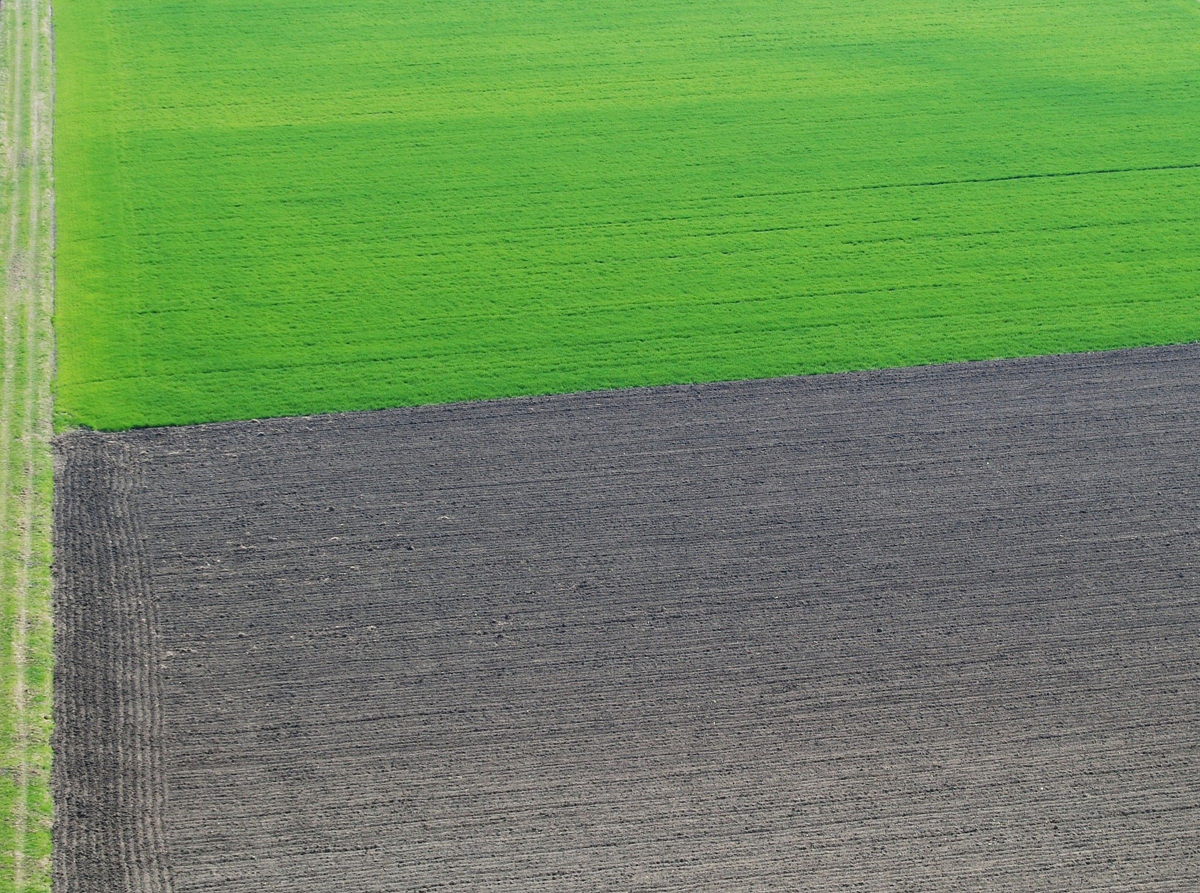 La bandiera del cambiamento