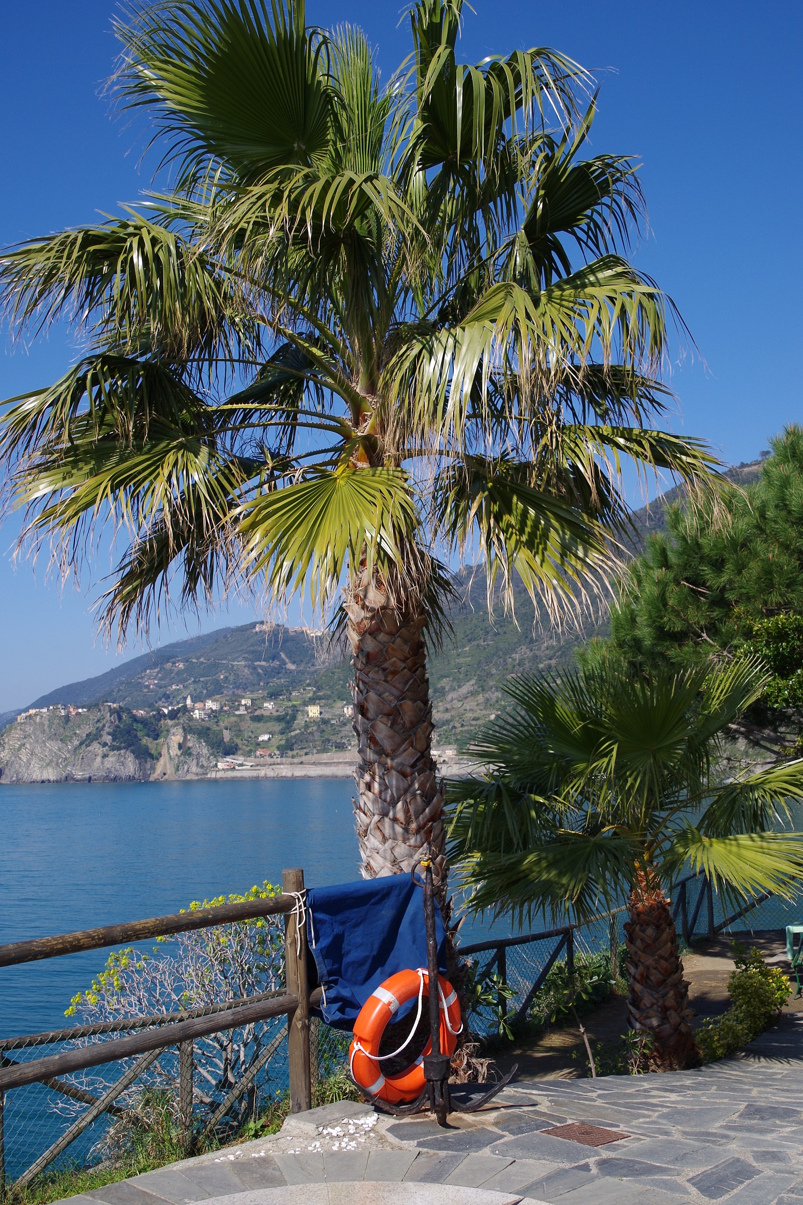 In the Cinque Terre ...